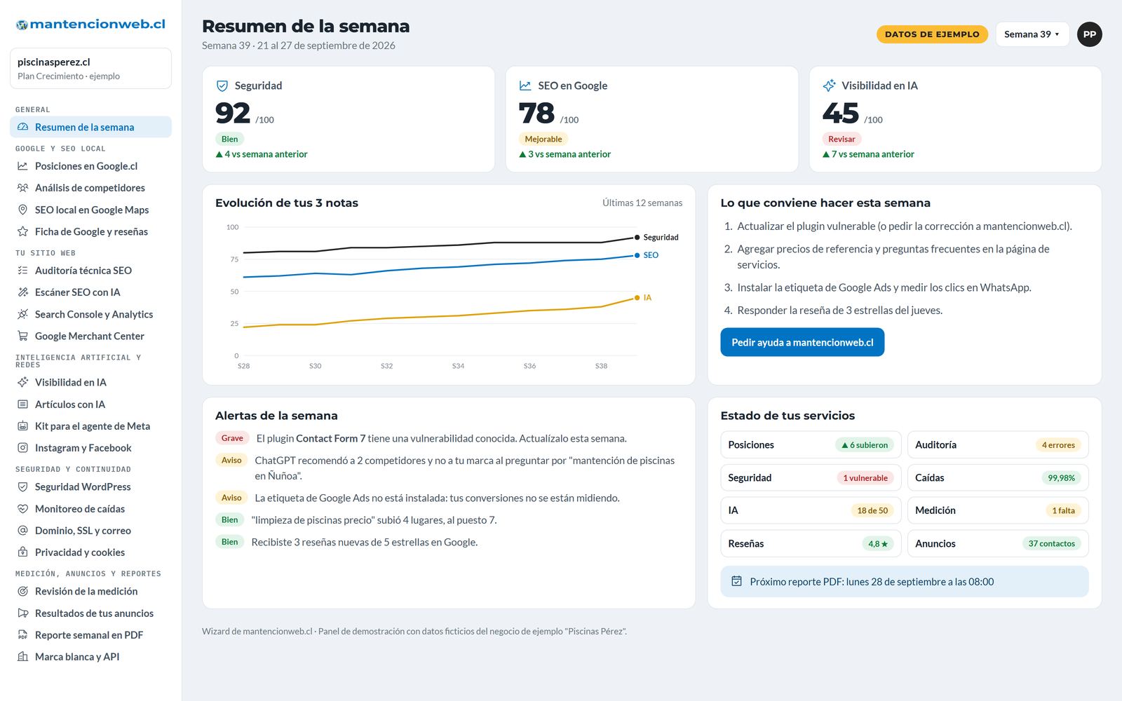 Panel de Wizard con las notas de seguridad, SEO e IA